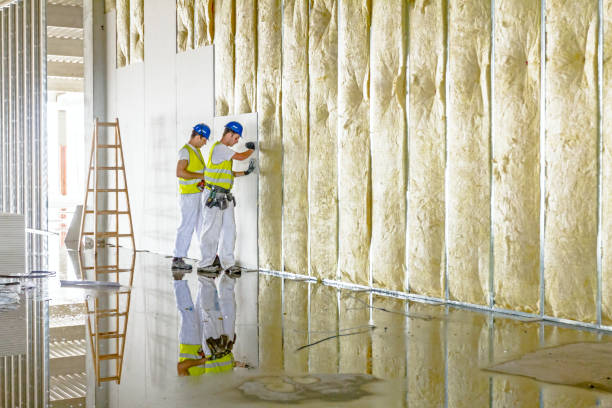 Best Basement Insulation  in Ordway, CO